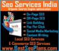 The best Seo Services Company In Chandigarh